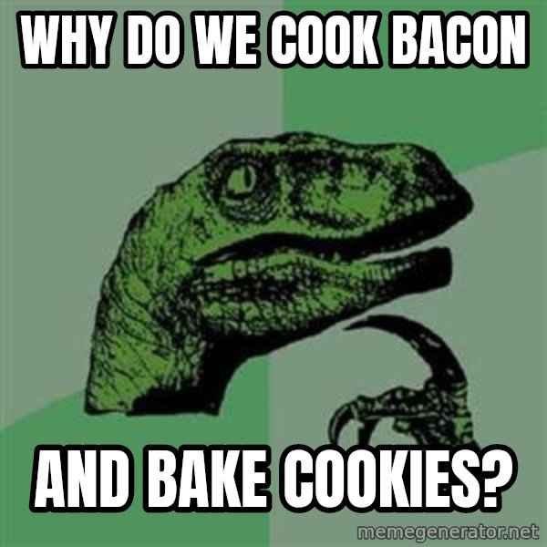 Philosoraptor meme: why do we cook bacon / and bake cookies?