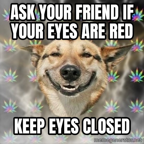 Stoner Dog meme: Ask your friend if your eyes are red / keep eyes closed