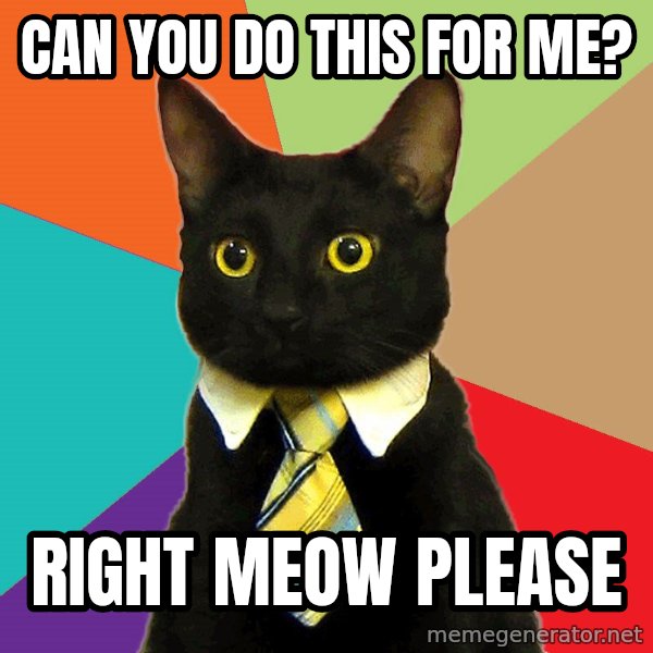 Business Cat meme: Can you do this for me? / right meow please