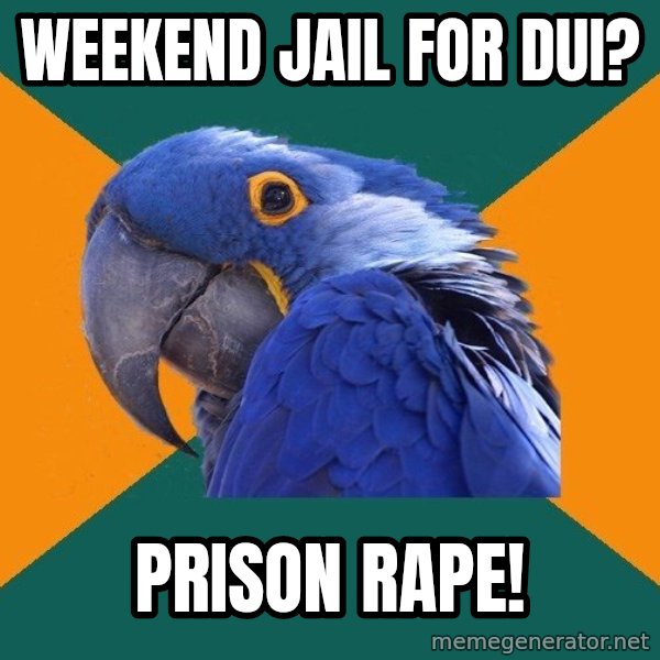 Paranoid Parrot meme: weekend jail for dui? / prison rape!