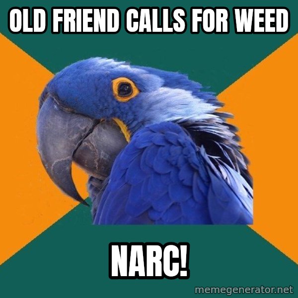 Paranoid Parrot meme: old friend calls for weed / narc!