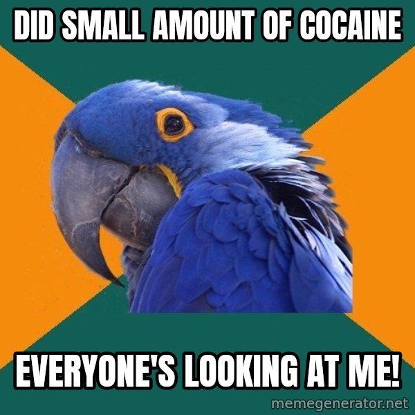Paranoid Parrot meme: did small amount of cocaine / everyone's looking at me!