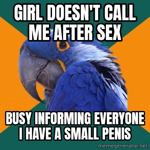 Paranoid Parrot meme: girl doesn't call me after sex / busy informing everyone i have a small penis