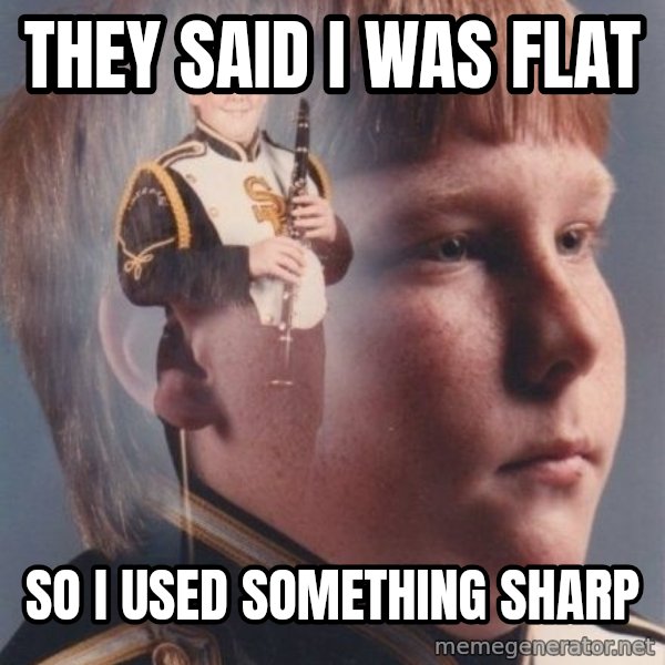 PTSD Clarinet Boy meme: They said I was flat / So I used something sharp