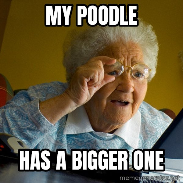 Internet Grandma Surprise meme: my poodle / has a bigger one