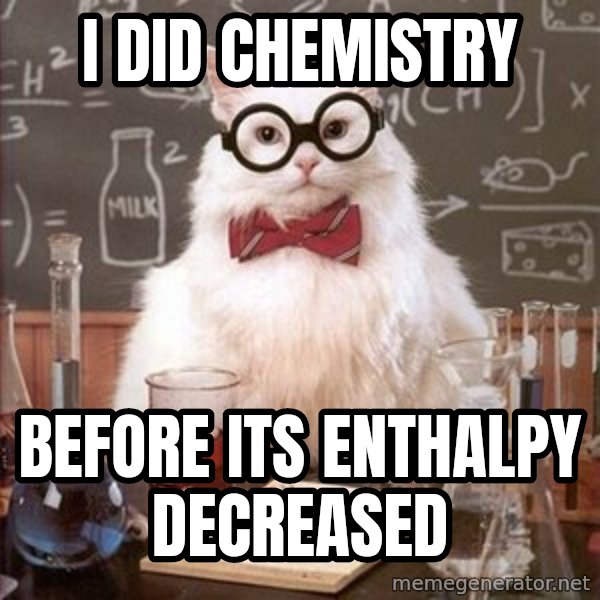 Chemistry Cat meme: I did chemistry / Before its enthalpy decreased