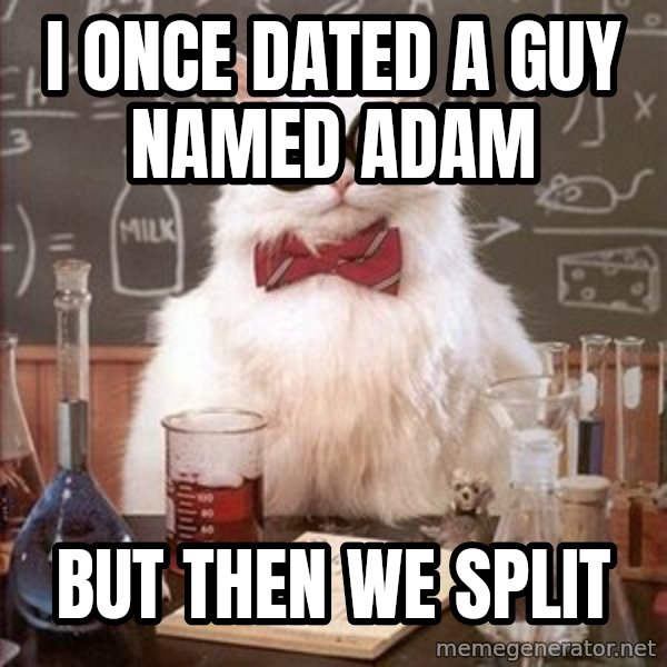 Chemistry Cat meme: I once dated a guy named adam / but then we split