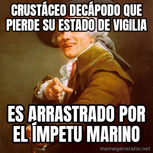 Joseph Ducreux meme: Crustáceo Decápodo que pierde su estado de vigilia / es arrastrado por el ímpetu marino