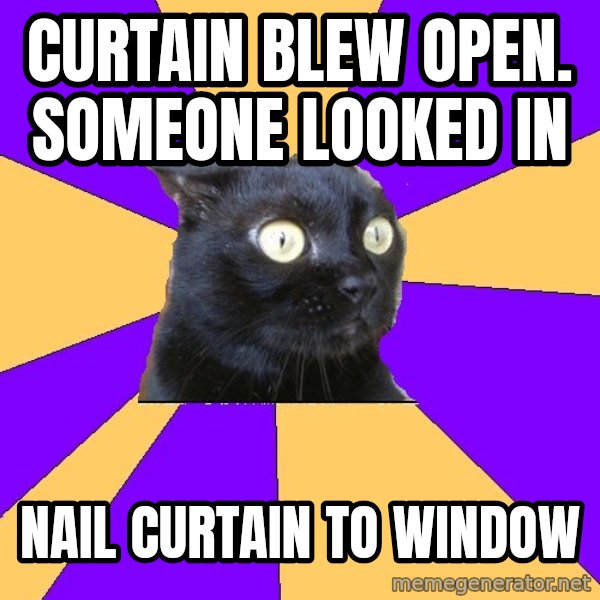 Anxiety Cat meme: Curtain Blew Open. Someone Looked In / Nail curtain TO Window