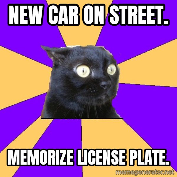 Anxiety Cat meme: New Car On Street. / Memorize License Plate.
