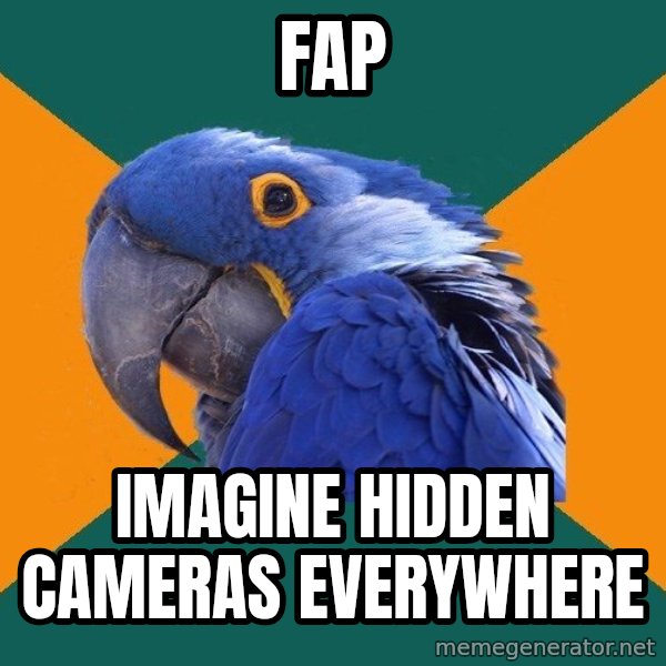 Paranoid Parrot meme: FAP / imagine hidden cameras everywhere