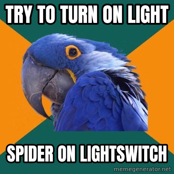 Paranoid Parrot meme: Try to turn on light / spider on lightswitch