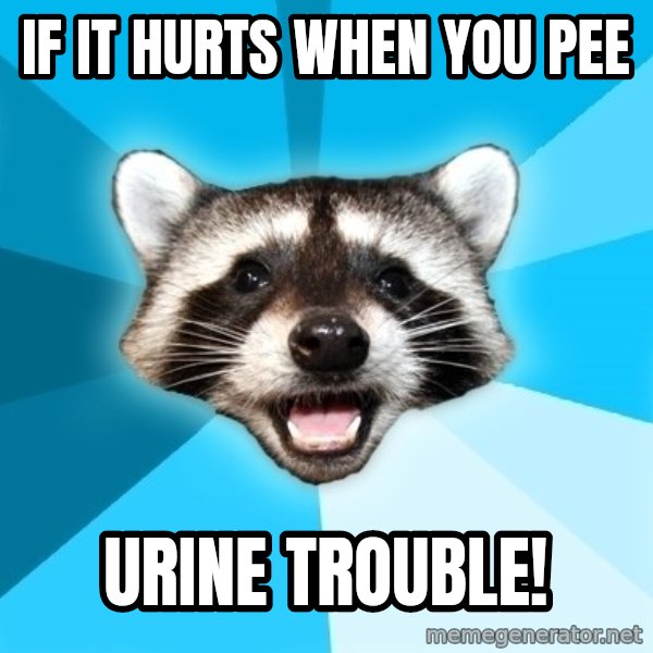 Lame Pun Coon meme: If it Hurts When you pee / Urine trouble!