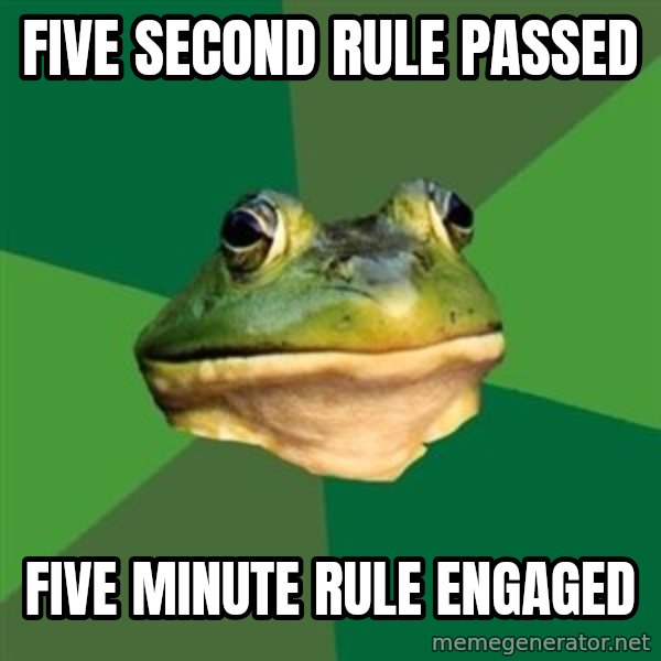 Foul Bachelor Frog meme: Five second rule passed / five minute rule engaged