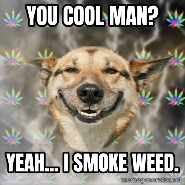 Stoner Dog meme: YOU COOL MAN? / YEAH... I SMOKE WEED.