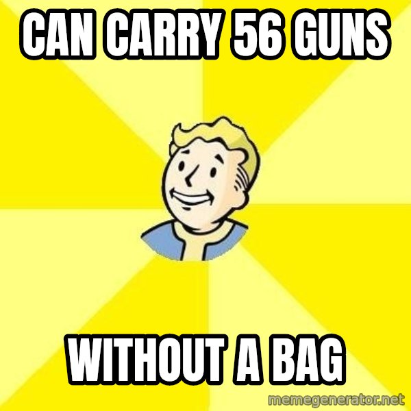 Fallout 3 meme: can carry 56 guns / Without a bag