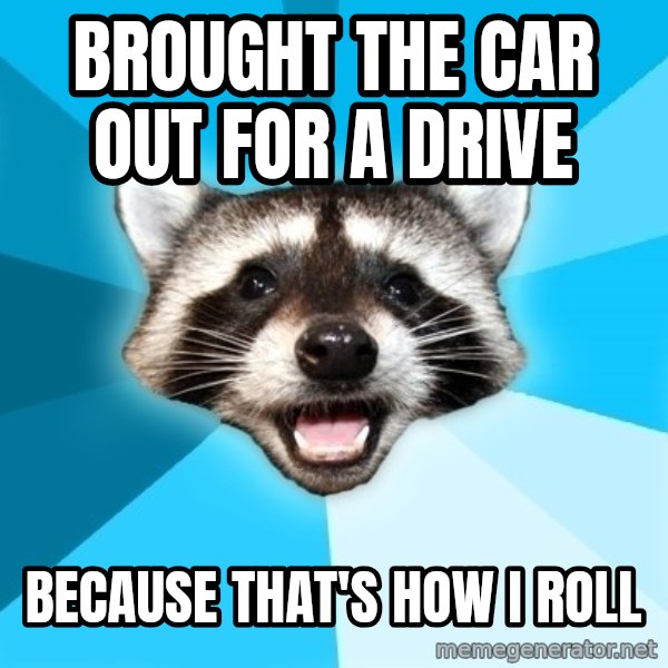 Lame Pun Coon meme: brought the car out for a drive / because that's how I roll