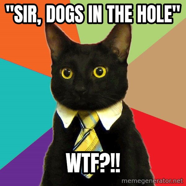Business Cat meme: "Sir, DoGS in the hole" / WTF?!!