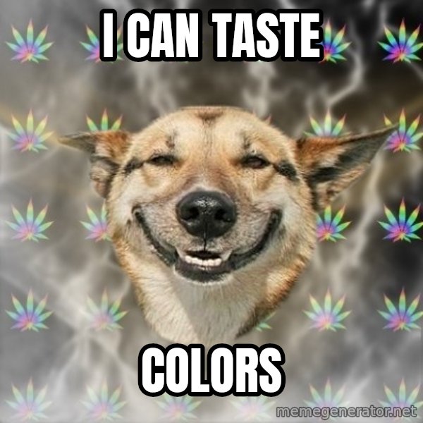 Stoner Dog meme: i can taste / colors