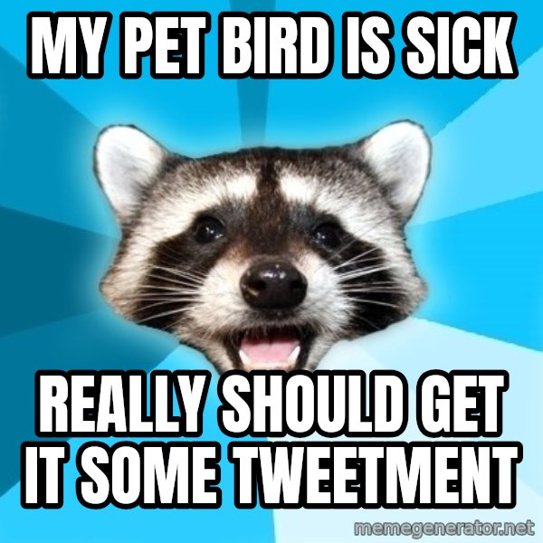 Lame Pun Coon meme: my pet bird is sick / really should get it some tweetment