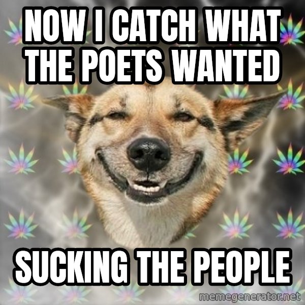 Stoner Dog meme: now i catch what the poets wanted / sucking the people