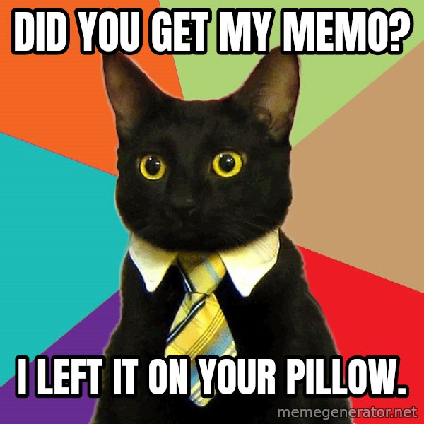 Business Cat meme: did you get my memo? / I left it on your pillow.