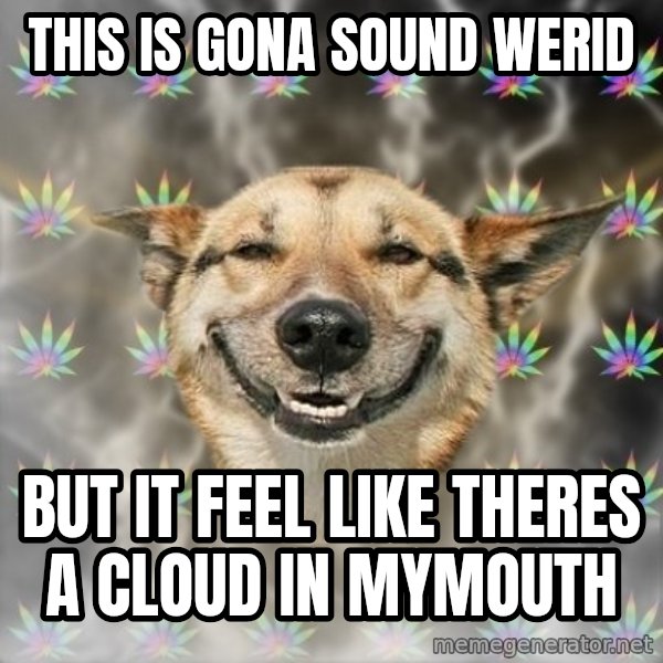 Stoner Dog meme: This is gona sound werid / but it feel like theres a cloud in mymouth