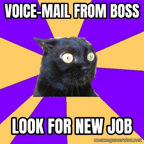 Anxiety Cat meme: vOICE-MAIL FROM bOSS / LOOK FOR NEW JOB