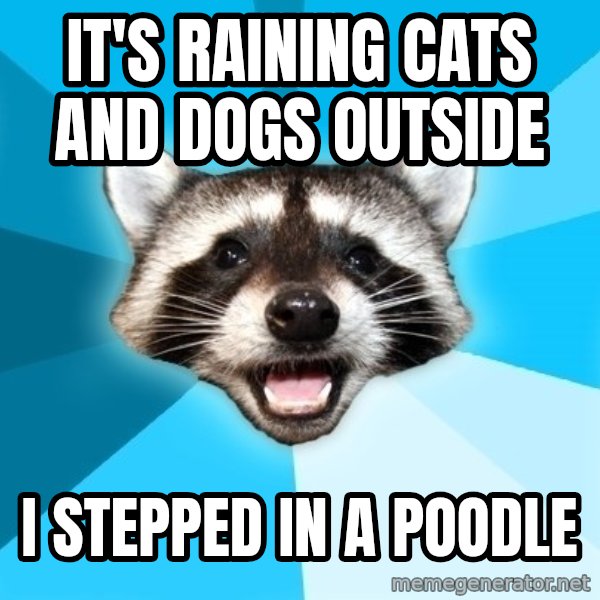 Lame Pun Coon meme: It's raining cats and dogs outside / I stepped in a poodle