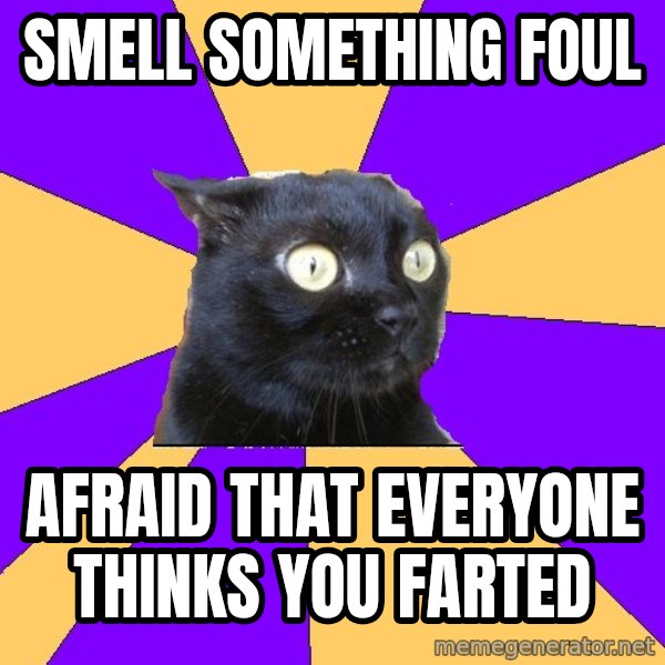 Anxiety Cat meme: Smell something foul / afraid that everyone thinks you farted