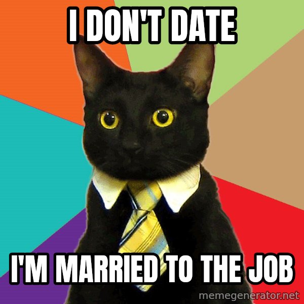 Business Cat meme: I don't date / I'm married to the job