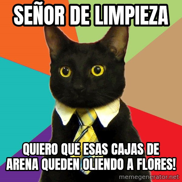 Business Cat meme: Señor de limpieza / quiero que esas cajas de arena queden oliendo a flores!