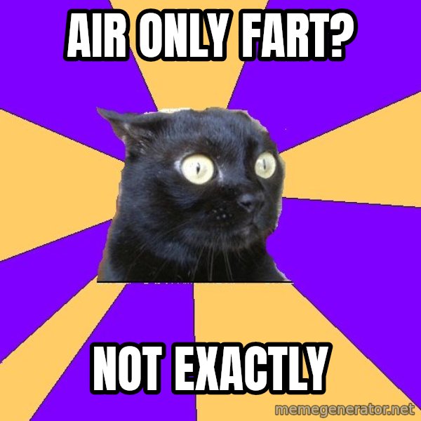 Anxiety Cat meme: air only fart? / NOT EXACTLY