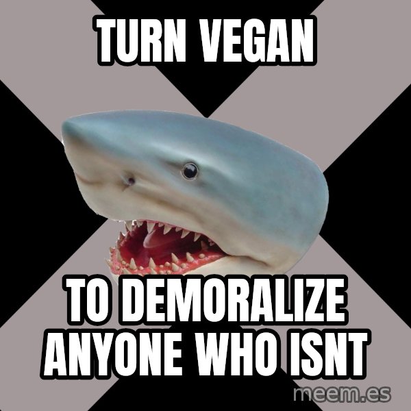 Straight Edge Shark meme: turn vegan / to demoralize anyone who isnt