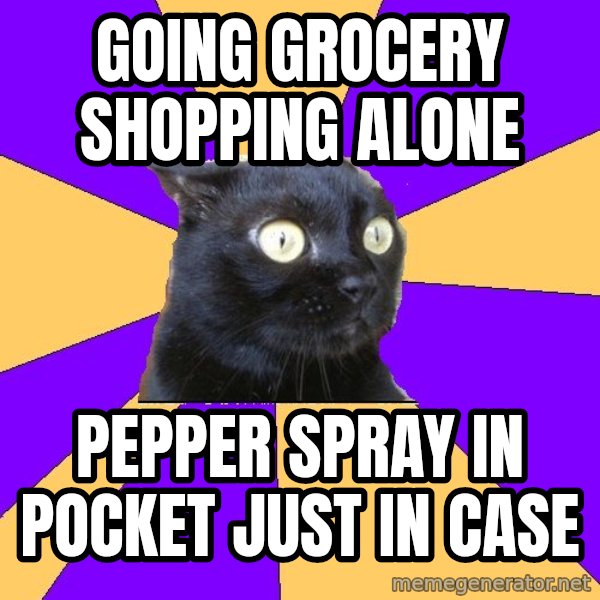 Anxiety Cat meme: going grocery shopping alone / pepper spray in pocket just in case