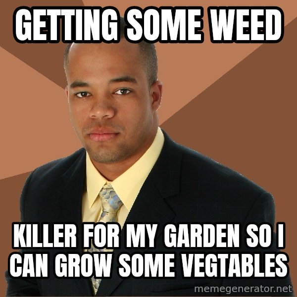 Successful Black Man meme: Getting Some Weed / Killer for my garden so i can grow some vegtables