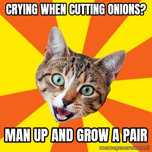 Bad Advice Cat meme: Crying when cutting onions? / man up and grow a pair