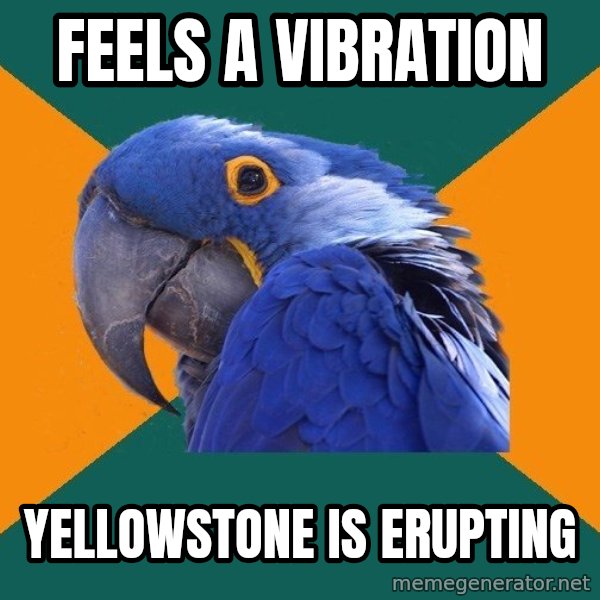 Paranoid Parrot meme: feels a vibration / Yellowstone is erupting