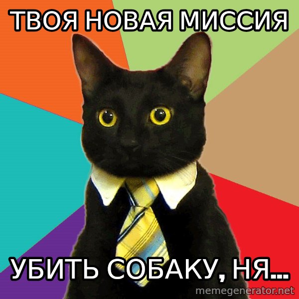 Business Cat meme: твоя новая миссия / убить собаку, ня...