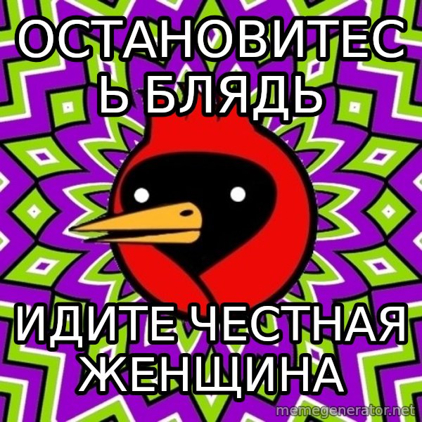 Omsk Crow meme: остановитесь блядь / идите честная женщина