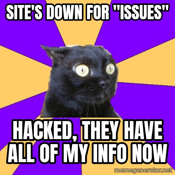 Anxiety Cat meme: Site's down for "issues" / Hacked, they have all of my info now