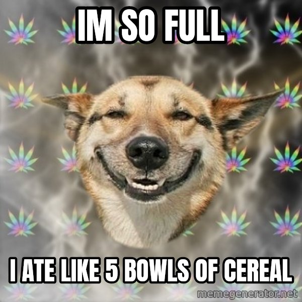 Stoner Dog meme: im so full / i ate like 5 bowls of cereal