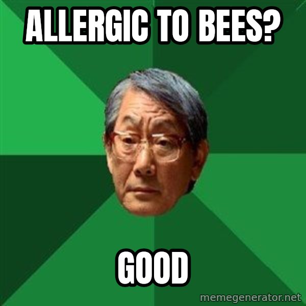 High Expectations Asian Father meme: allergic to bees? / good