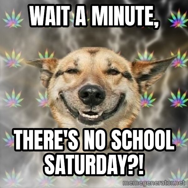 Stoner Dog meme: wait a minute, / there's no school saturday?!