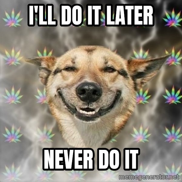 Stoner Dog meme: I'll do it later / never do it
