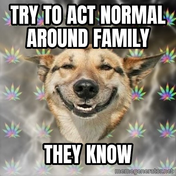 Stoner Dog meme: try to act normal around family / they know