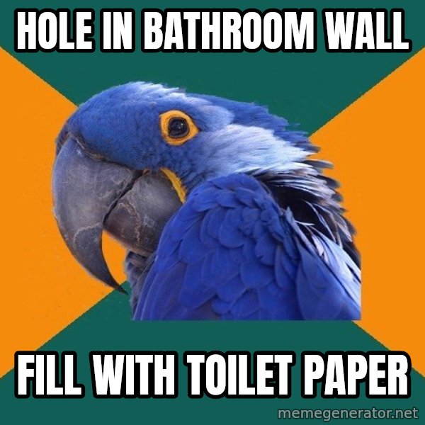Paranoid Parrot meme: Hole in Bathroom wall / Fill with Toilet paper