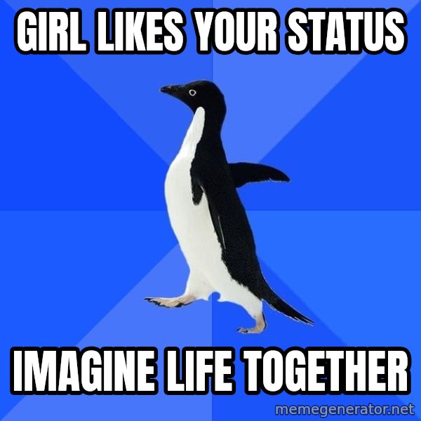 Socially Awkward Penguin meme: Girl likes your status / imagine life together