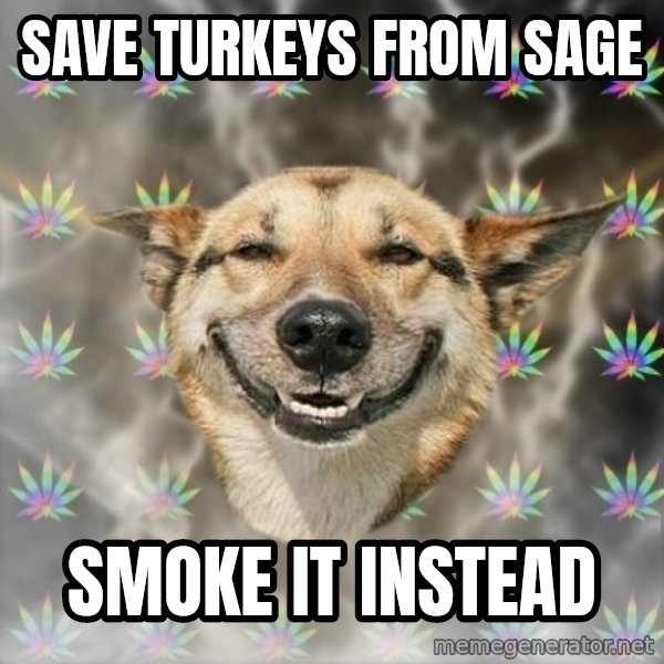 Stoner Dog meme: save turkeys from sage / smoke it instead