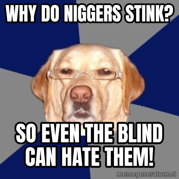 Racist Dawg meme: Why do niggers stink? / So even the blind can hate them!